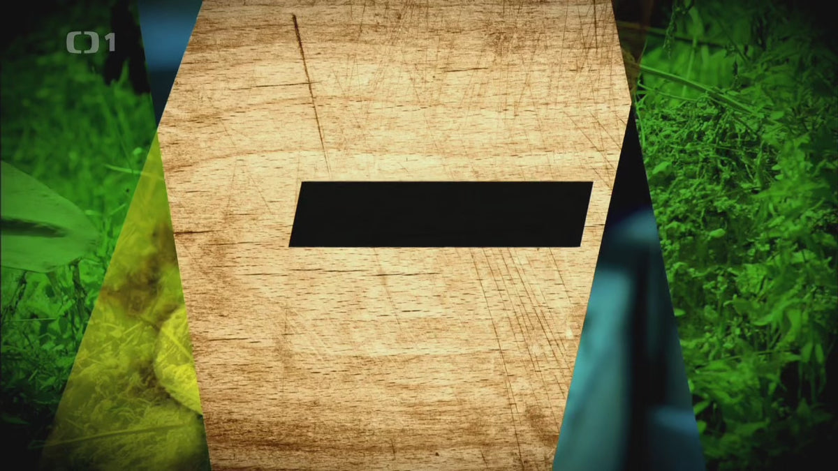 Načítať video: 